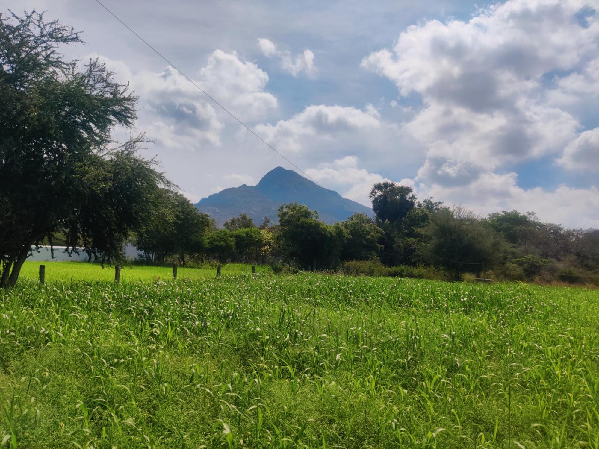 Arunachala Houses Tiruvannāmalai Exteriör bild